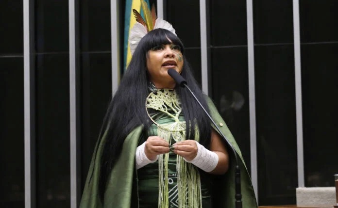 Célia Xakriabá pede investigações para apurar suposto envenenamento da água no território dos Guarani Kaiowá